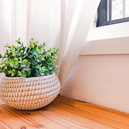 公寓 Nortesoul Kopke 波尔图